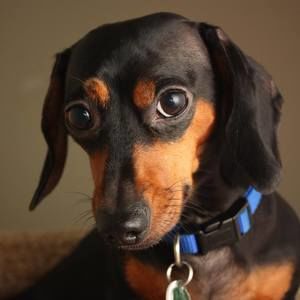 Meet your Posher, Mike